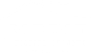 Merit Building Systems company logo in white